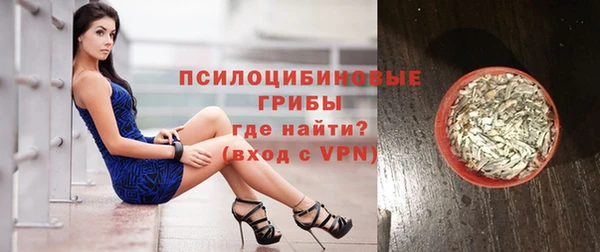 дмт Нягань
