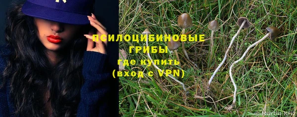mdpv Няндома