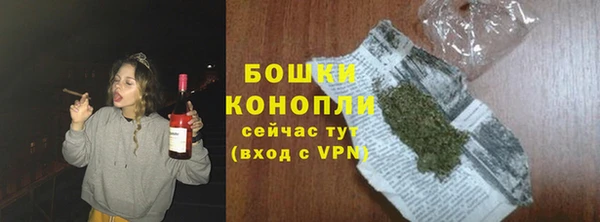 дмт Нягань
