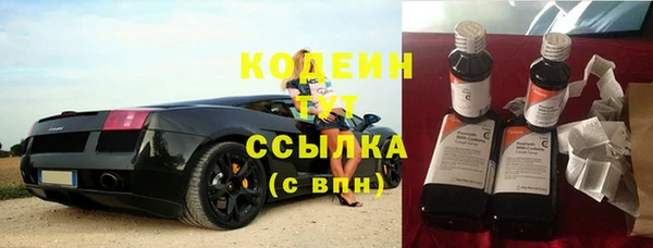 дмт Нягань