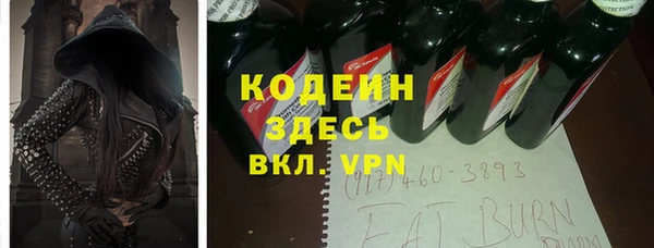 дмт Нягань