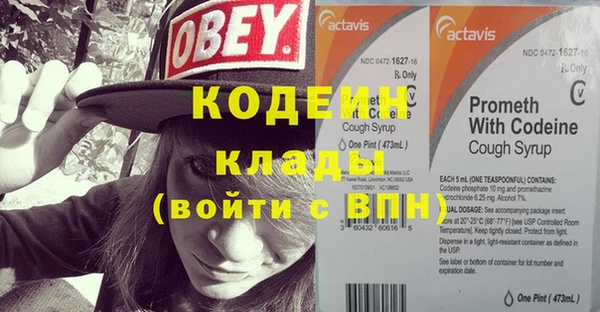 дмт Нягань