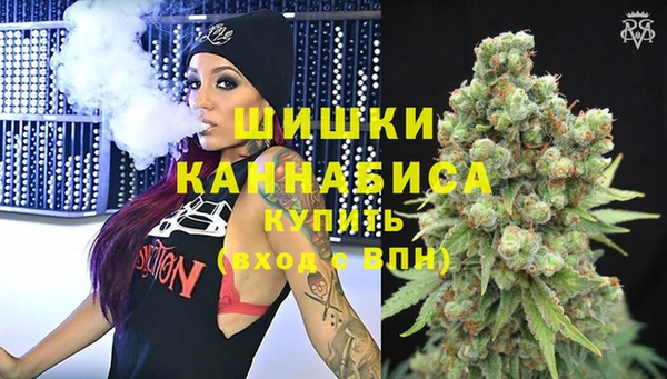 mdpv Няндома