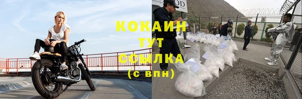 mdpv Няндома