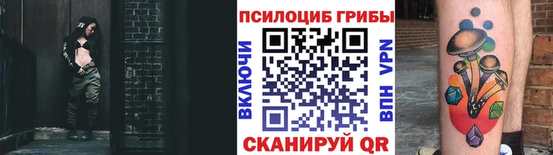 сайты даркнета как зайти  Спасск  Галлюциногенные грибы Cubensis 